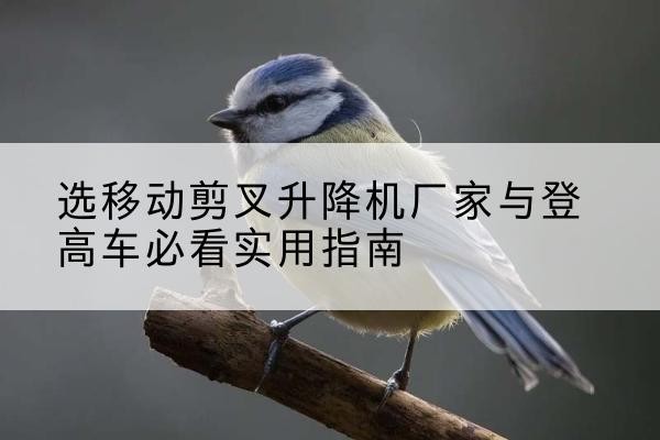 杨陵电动升降机厂家-选移动剪叉升降机厂家与登高车必看实用指南