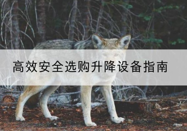杨陵升降货梯厂家推荐-*安全选购升降设备指南