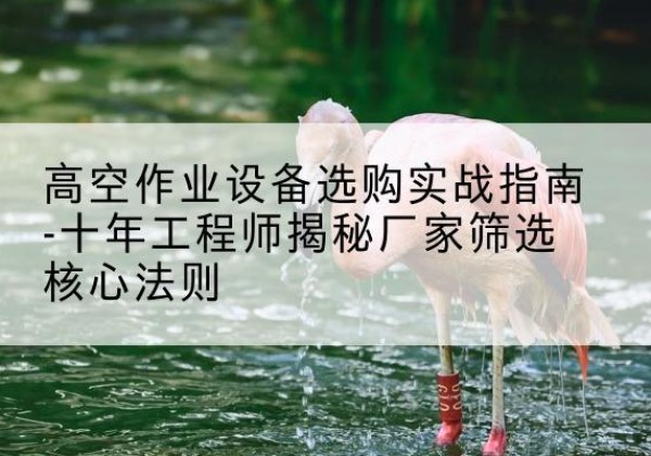 杨陵剪叉式升降机厂家-高空作业设备选购实战指南-十年工程师揭秘厂家筛选核心法则